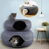 Cat curled up in the dished top of the donut bed